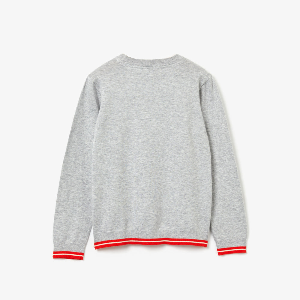 Lacoste Kids AJ4765 Boy’s Soft Cotton Crew Neck Sweater, Grey